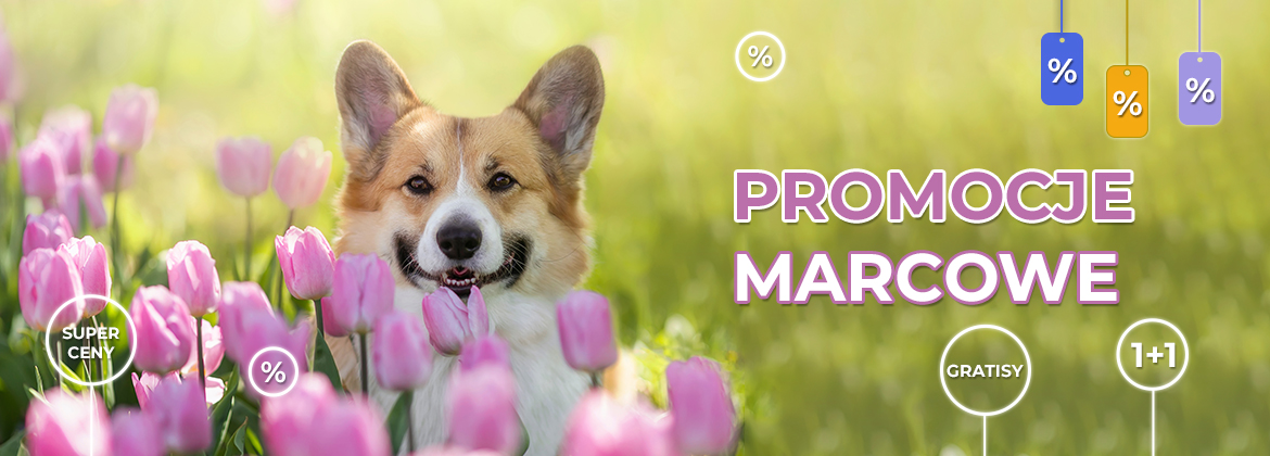 Promocje marcowe 2023